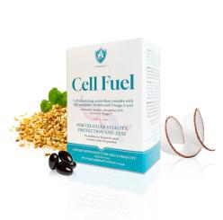 CELL FUEL 